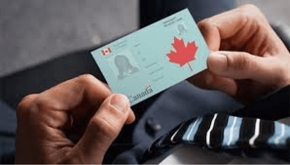 Permanent Residency profile